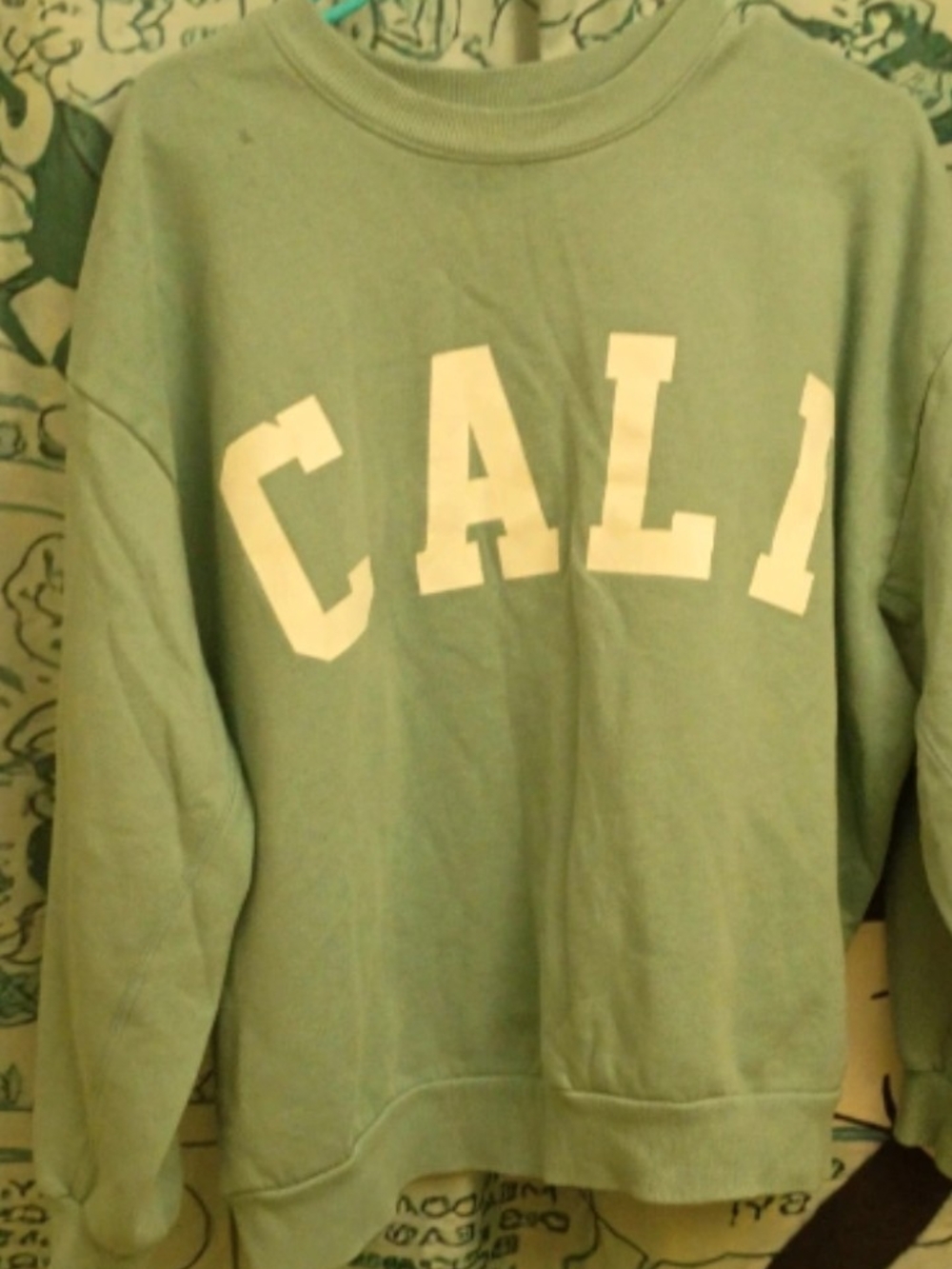 CALI Crewneck Sweater - Sage Green